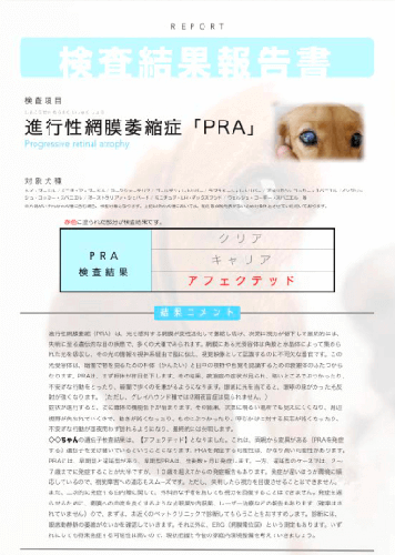 PET DOG HAB（ペットドッグハブ）検査結果